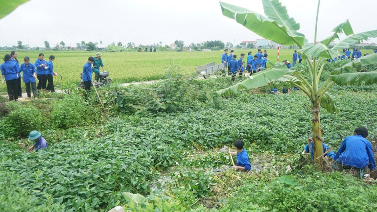 Thanh niên tham gia khơi thông kênh mương.