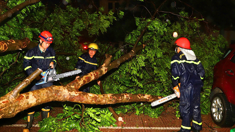 Xuyên đêm cắt cây tỉa cành sau bão. Xuyên đêm cắt cây tỉa cành sau bão.