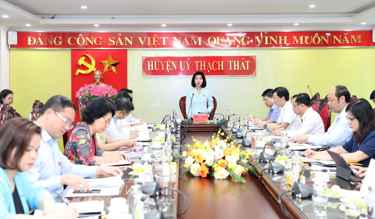 Đoàn giám sát của Hội đồng nhân dân thành phố Hà Nội làm việc tại huyện Thạch Thất.