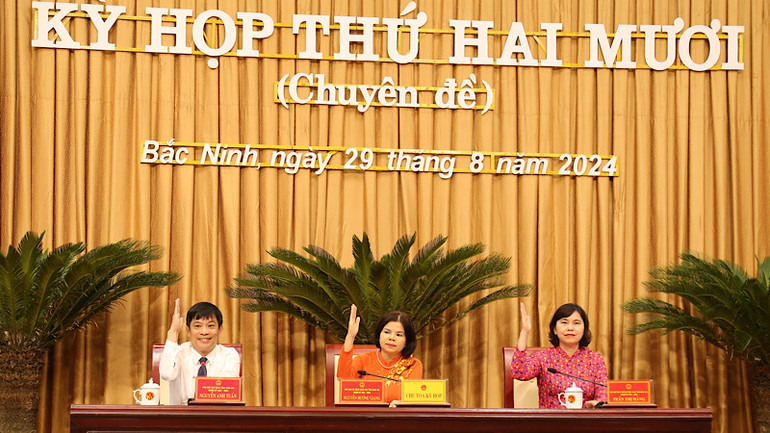 Chủ tọa kỳ họp biểu quyết thông qua các nghị quyết.