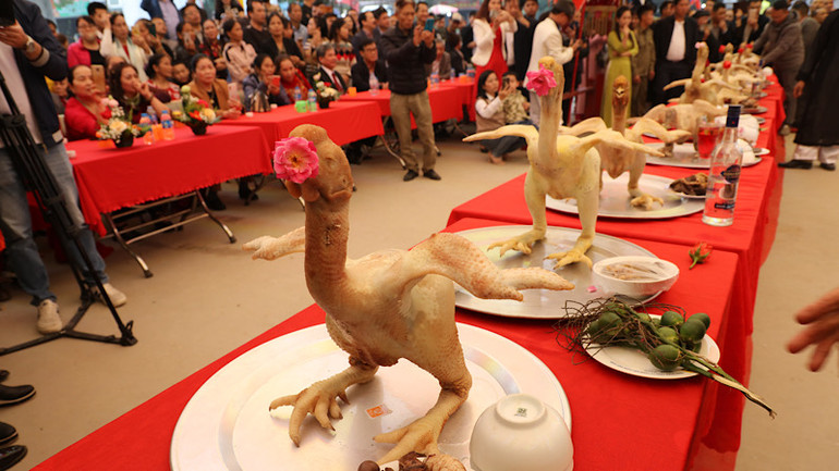 Gà để dâng lễ được chọn ngay từ khi nuôi với nhiều yêu cầu kỹ lưỡng.