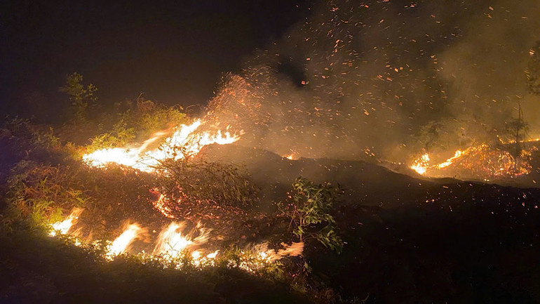 Đám cháy bùng phát nhanh và lan rộng.