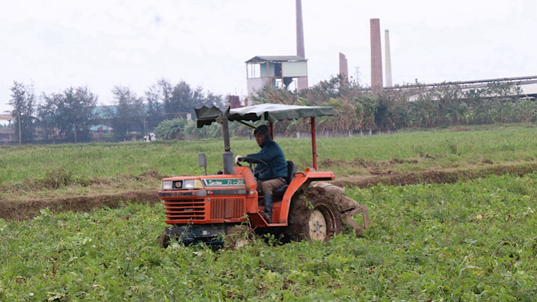 Nhiều công đoạn trong trồng, thu hoạch khoai tây như làm đất, lên luống, thu hoạch đã được ứng dụng cơ giới hóa.