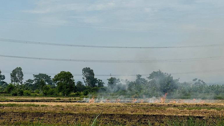 Dù đã được tuyên truyền, nhưng nhiều người dân vẫn giữ thói quen đốt rơm rạ sau thu hoạch. Dù đã được tuyên truyền, nhưng nhiều người dân vẫn giữ thói quen đốt rơm rạ sau thu hoạch.