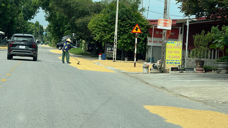 Người dân phơi thóc trên đường tại huyện Lương Tài. Người dân phơi thóc trên đường tại huyện Lương Tài.