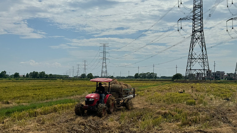Trong khi đó, việc thu gom và cuộn rơm đã được ứng dụng trên nhiều cánh đồng của tỉnh. Trong khi đó, việc thu gom và cuộn rơm đã được ứng dụng trên nhiều cánh đồng của tỉnh.