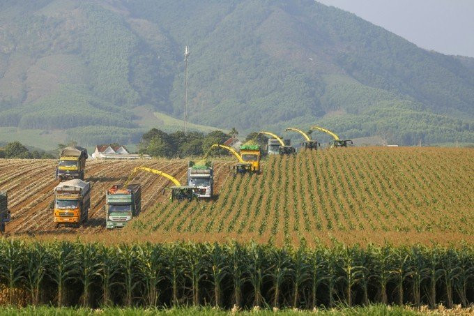 Tiềm năng từ đất đai, cây cỏ được đánh thức khi Tập đoàn TH đưa công nghệ tiên tiến, hiện đại về làm “thay da, đổi thịt” những vùng đất khó.