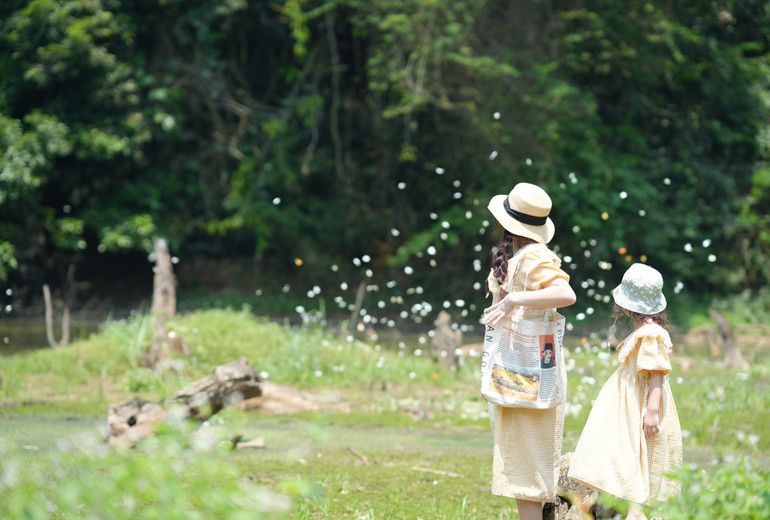 Mỗi độ bướm tụ về đây, vườn vườn quốc gia Cúc Phương lại đón du khách từ khắp nơi.