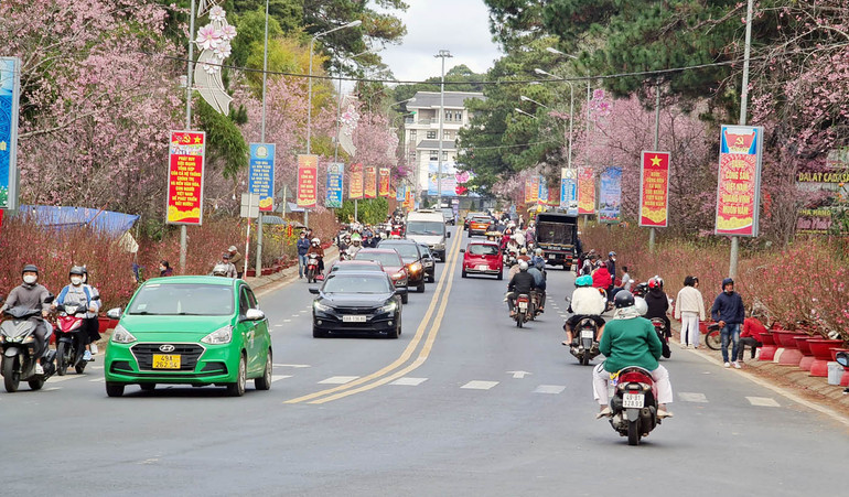 Phố núi vào xuân.