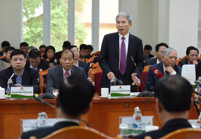 Đại diện lãnh đạo Hiệp hội gỗ và lâm sản Việt Nam phát biểu.