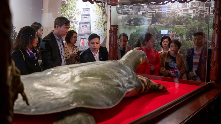 Du khách tham quan tiêu bản rùa tại đền. Du khách tham quan tiêu bản rùa tại đền.