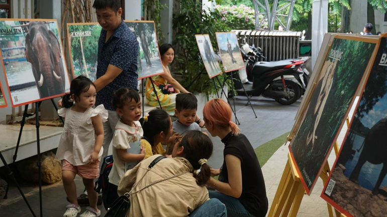 Các bạn nhỏ đều rất háo hức khi được chứng kiến và lắng nghe thêm nhiều câu chuyện về loài voi châu Á ở Việt Nam.