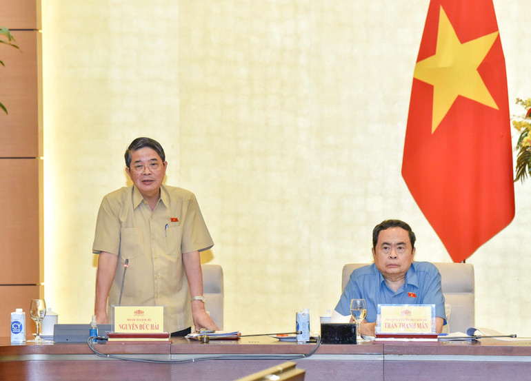 Phó Chủ tịch Quốc hội Nguyễn Đức Hải phát biểu tại cuộc họp. (Ảnh: Duy Linh) Phó Chủ tịch Quốc hội Nguyễn Đức Hải phát biểu tại cuộc họp. (Ảnh: Duy Linh)