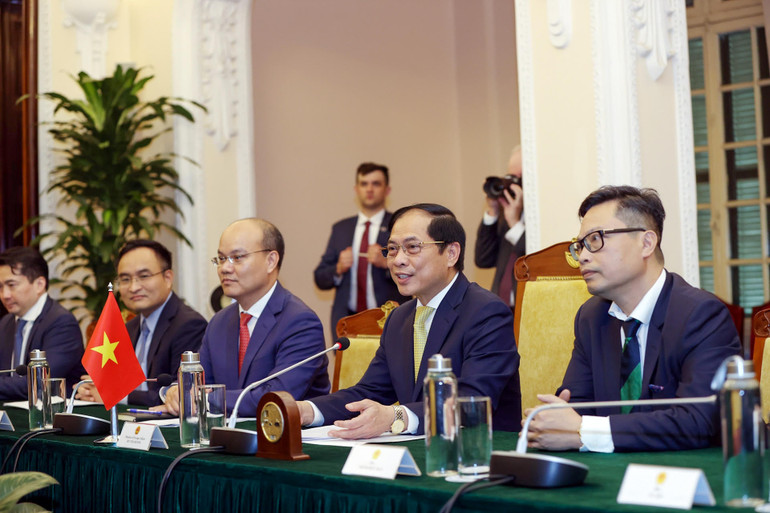 Bộ trưởng Ngoại giao Bùi Thanh Sơn phát biểu tại buổi hội đàm.