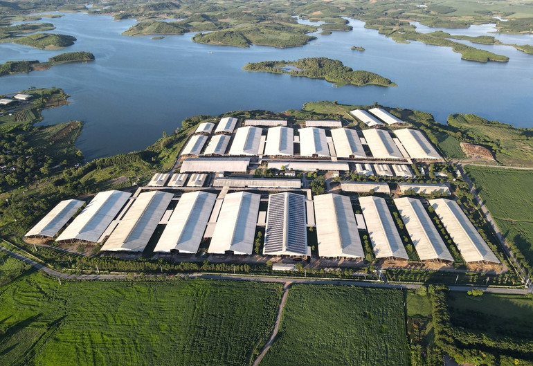 Mô hình sản xuất kinh doanh của TH đang trở thành đại diện tiêu biểu thực hành kinh tế xanh, kinh tế tuần hoàn tại Việt Nam Mô hình sản xuất kinh doanh của TH đang trở thành đại diện tiêu biểu thực hành kinh tế xanh, kinh tế tuần hoàn tại Việt Nam