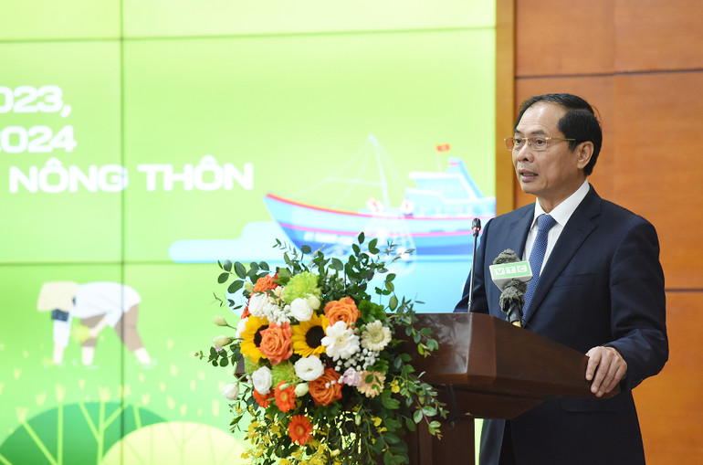 Bộ trưởng Ngoại giao Bùi Thanh Sơn phát biểu.