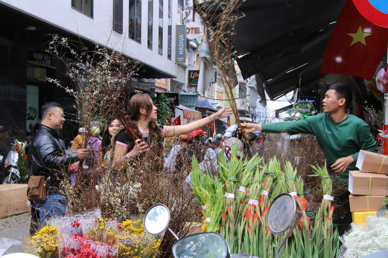 Những cành tuyết mai thu hút du khách. Những cành tuyết mai thu hút du khách.