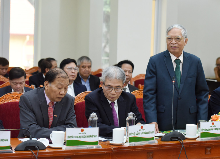 Đại diện lãnh đạo Hiệp hội ngành hàng lúa gạo Việt Nam phát biểu.