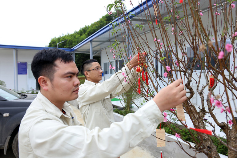Những mong muốn được viết lên và gửi gắm trên những cành đào giữa nơi công trường.