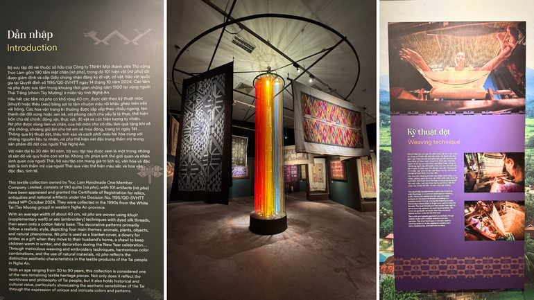 Sự hợp tác công - tư giúp người xem có nhiều cơ hội để tiếp cận với sự đa dạng của văn hóa.