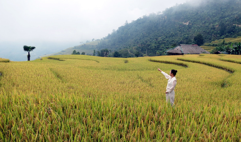 Môi năm, thôn đón khoảng 5.000 lượt du khách lưu trú, đông nhất là vào dịp cuối thu, khi những thửa ruộng bậc vào mùa lúa chín vàng rực.