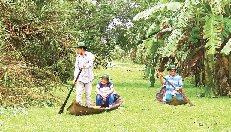 Sau những cơn mưa, người dân thường ra thăm rừng để tìm sản vật dưới tán rừng.