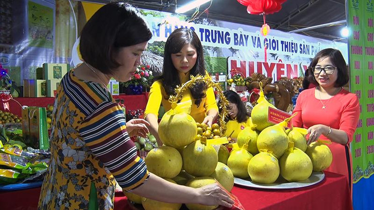 Quảng bá, giới thiệu bưởi đường Soi Hà tại hội chợ thương mại