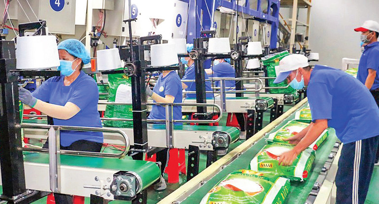 Đóng gói gạo xuất khẩu sang thị trường EU tại Công ty cổ phần Công nghệ cao Trung An (Cần Thơ). (Ảnh: Nam Phương) Đóng gói gạo xuất khẩu sang thị trường EU tại Công ty cổ phần Công nghệ cao Trung An (Cần Thơ). (Ảnh: Nam Phương)