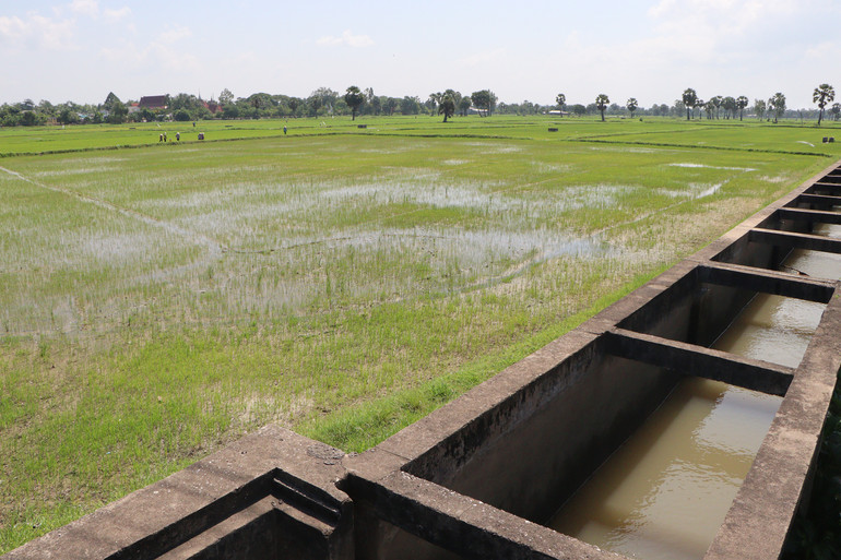 Trạm bơm 3/2 xuyên qua các cánh đồng An Cư mang nước tưới tiêu