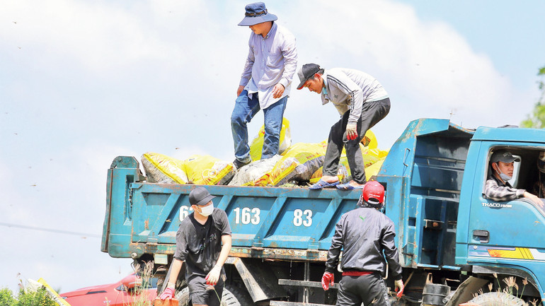 Ðưa rác thải đi xử lý.
