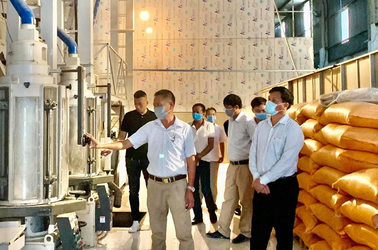 Lãnh đạo Hiệp hội doanh nghiệp tỉnh Điện Biên thăm dây chuyền sản xuất lúa gạo của doanh nghiệp hội viên.