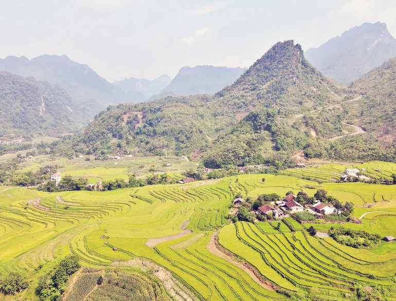 Cánh đồng ở Quảng Khê, giáp hồ Ba Bể.