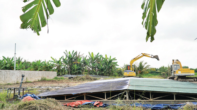 Phía sau cơ sở gây ô nhiễm môi trường đang được cho khắc phục ô nhiễm.