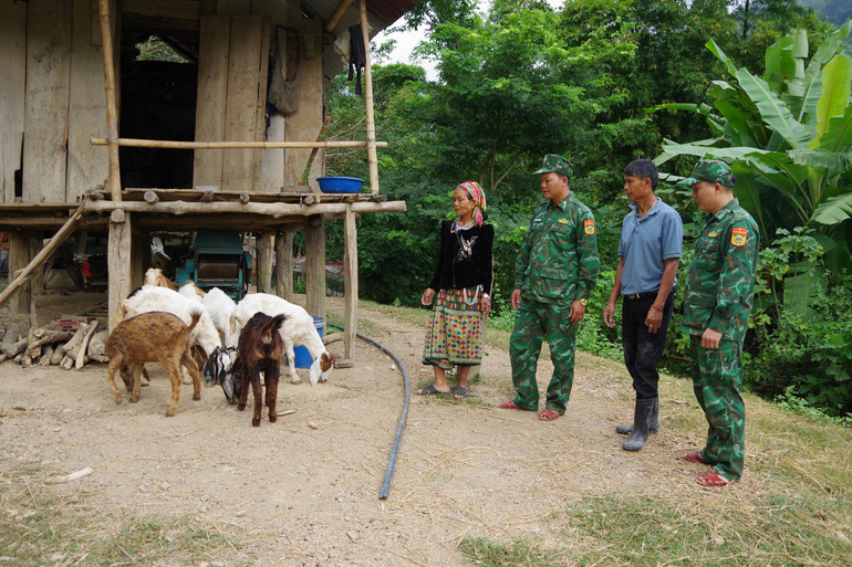 Mô hình kinh tế của gia đình ông Hoa Phò Ngành, do Đồn Biên phòng Mường Ải xây dựng Mô hình kinh tế của gia đình ông Hoa Phò Ngành, do Đồn Biên phòng Mường Ải xây dựng