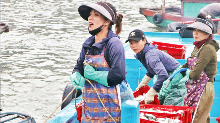 Chị em phụ nữ tích cực bốc dỡ hải sản lên bờ. Chị em phụ nữ tích cực bốc dỡ hải sản lên bờ.