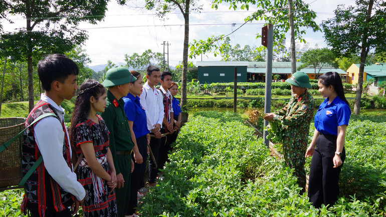 Cán bộ, nhân viên Ðoàn 92 hướng dẫn người dân kỹ thuật trồng cây công nghiệp có giá trị kinh tế cao.