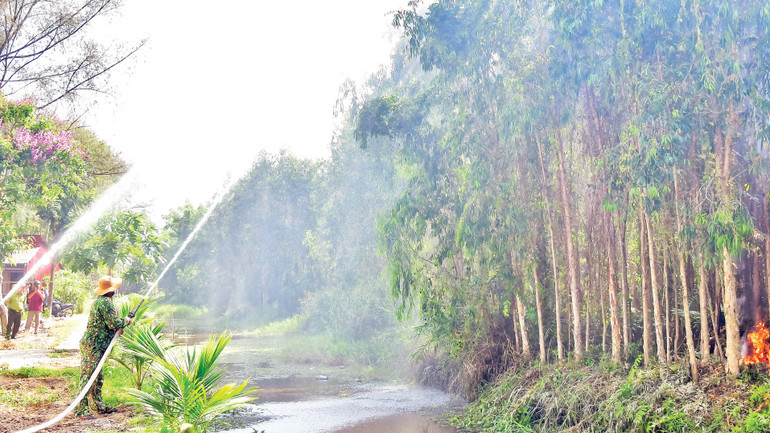 Để chủ động trước các tình huống xấu, lực lượng Kiểm lâm tỉnh Cà Mau thường xuyên tổ chức diễn tập công tác phòng cháy, chữa cháy rừng tại Vườn Quốc gia U Minh Hạ.