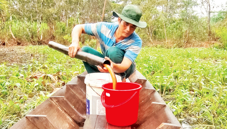 Người dân khai thác sản vật mùa mưa.