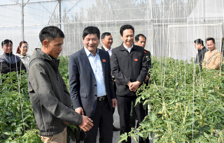 Đồng chí Lê Thành Đô (ở giữa), Chủ tịch Uỷ ban nhân dân tỉnh Điện Biên thăm mô hình trồng rau sạch tại xã Si Pa Phìn, huyện Nậm Pồ. Đồng chí Lê Thành Đô (ở giữa), Chủ tịch Uỷ ban nhân dân tỉnh Điện Biên thăm mô hình trồng rau sạch tại xã Si Pa Phìn, huyện Nậm Pồ.