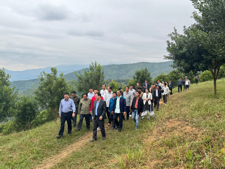 Dự án trồng cây mắc-ca tại huyện Mường Ảng được quan tâm triển khai, hiện cây sinh trưởng tốt. Dự án trồng cây mắc-ca tại huyện Mường Ảng được quan tâm triển khai, hiện cây sinh trưởng tốt.