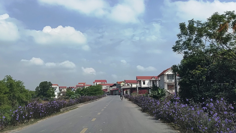 Một vùng quê thanh bình. Ảnh: VĂN HỌC Nhờ phong trào hiến đất làm đường, diện mạo nông thôn được cải thiện rõ nét. Ảnh: VĂN HỌC
