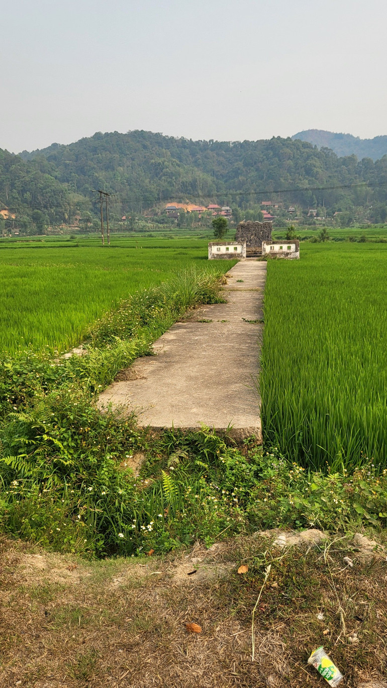 Con đường dẫn vào bia di tích Trạm hậu cần hỏa tuyến Nà Tấu- KM 62.