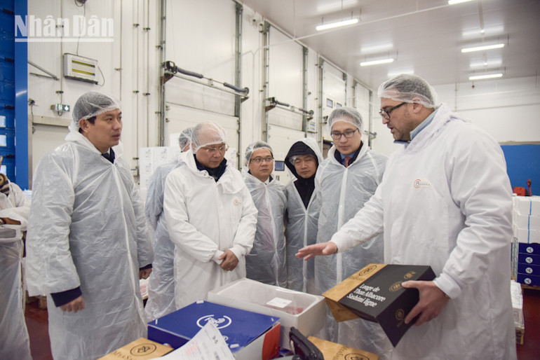 Các sản phẩm cá ngừ đỏ của tập đoàn Barba có tiếng vang lớn trong lĩnh vực nhà hàng. (Ảnh: MINH DUY) Các sản phẩm cá ngừ đỏ của tập đoàn Barba có tiếng vang lớn trong lĩnh vực nhà hàng. (Ảnh: MINH DUY)