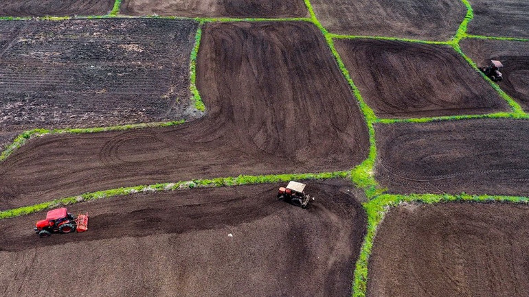 Sản xuất nông nghiệp theo hướng hàng hóa theo hướng phát triển bền vững trên cánh đồng mẫu lớn ở huyện Xuân Lộc. Sản xuất nông nghiệp theo hướng hàng hóa theo hướng phát triển bền vững trên cánh đồng mẫu lớn ở huyện Xuân Lộc.