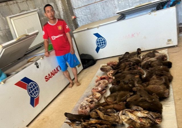 Phát hiện số lượng động vật tại trụ sở Công ty trách nhiệm hữu hạn Trương Phúc Nam. Phát hiện số lượng động vật tại trụ sở Công ty trách nhiệm hữu hạn Trương Phúc Nam.