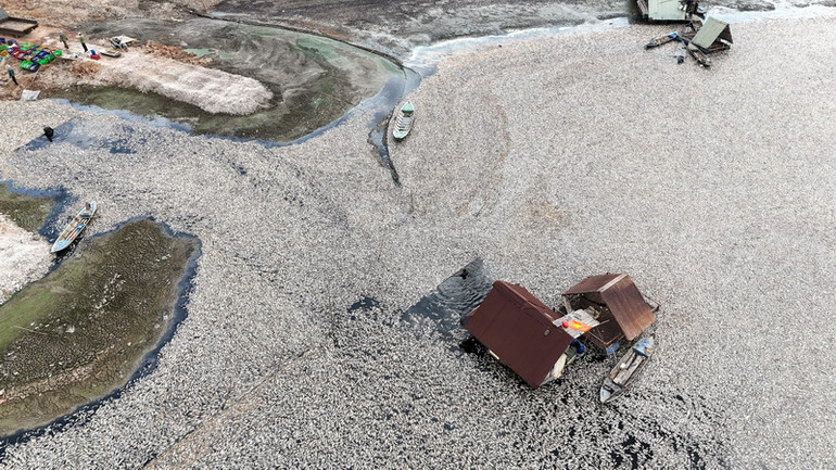 Hàng trăm tấn cá chết nổi trắng hồ Sông Mây. Hàng trăm tấn cá chết nổi trắng hồ Sông Mây.