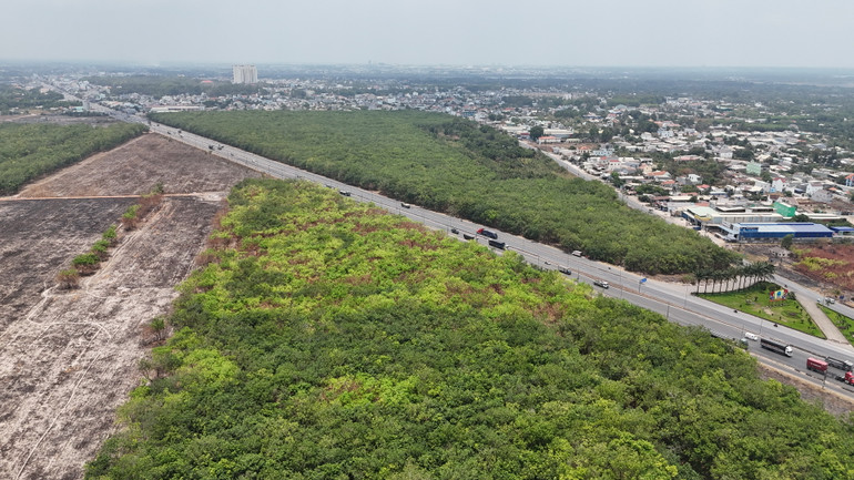 Trong phát triển đô thị Đồng Nai cần phát triển diện tích cây xanh.