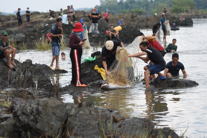 Lần này lượng cá người dân bắt được ít hơn mọi năm.