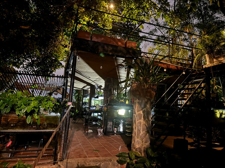 Khu vườn nhà bà Lan bị hư hỏng sau sự cố.