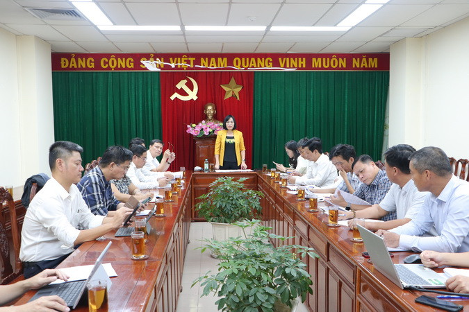 Phó Chủ tịch Ủy ban nhân dân tỉnh Đồng Nai Nguyễn Thị Hoàng phát biểu kết luận buổi làm việc.